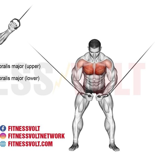 High to low cable crossovers by Alejandro D. Ejercicio Cómo hacerlo