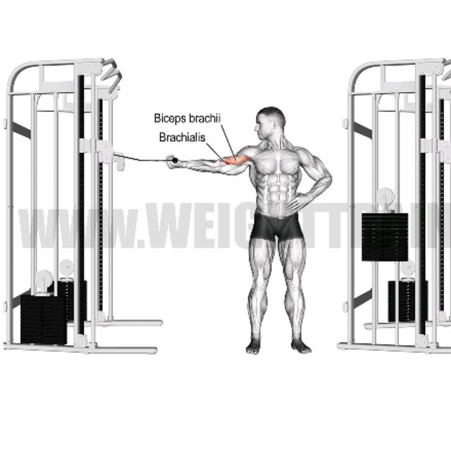 High Cable Curls by Richard Terry Jr Exercise Howto Skimble