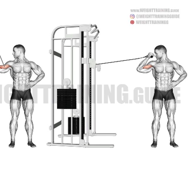 High Cable Curls by Richard Terry Jr Exercise Howto Skimble