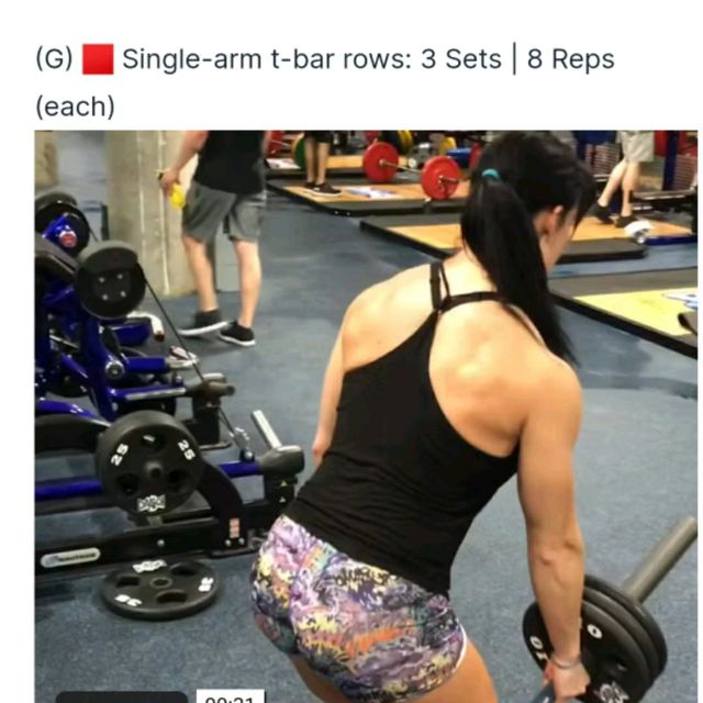 Singlearm tbar rows 3 Sets 8 Reps (each) by Corporal K. Exercise