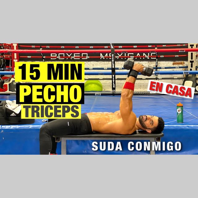 Rutina de PECHO Y TRICEPS En Casa | 15 Minutos ¡Destroza Tus Músculos ...