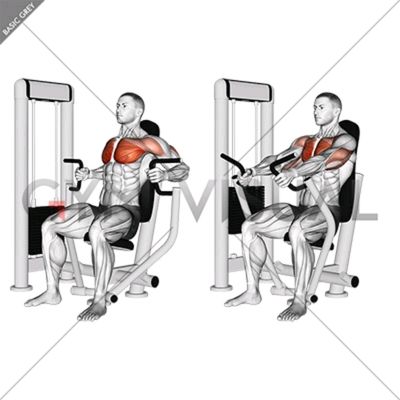 Averys Workouts