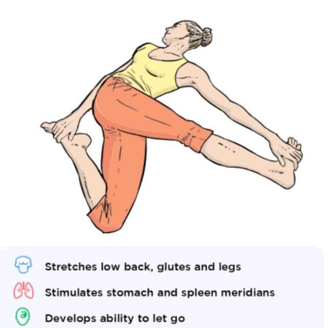 Cat Pulling Its Tail by 𝔻𝕖𝕤𝕖𝕣𝕥 𝔽𝕠𝕩🦊 🌟 Exercise Howto Skimble