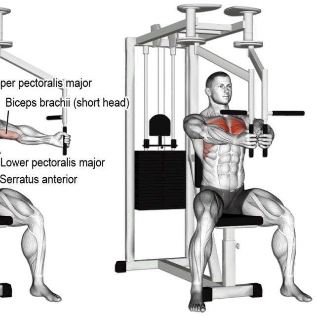 Butterfly by Yvan S. Comment faire de l'exercice Skimble