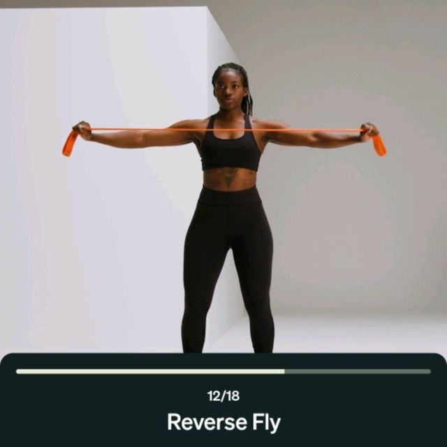 Sb Reverse Fly Reverse Fly With Band by Rajeswari D. - Exercise How-to - Skimble