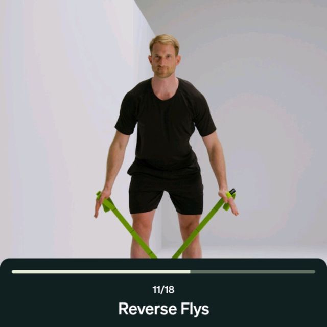 Reverse Fly With Band 2 by Rajeswari D. Exercise Howto Skimble