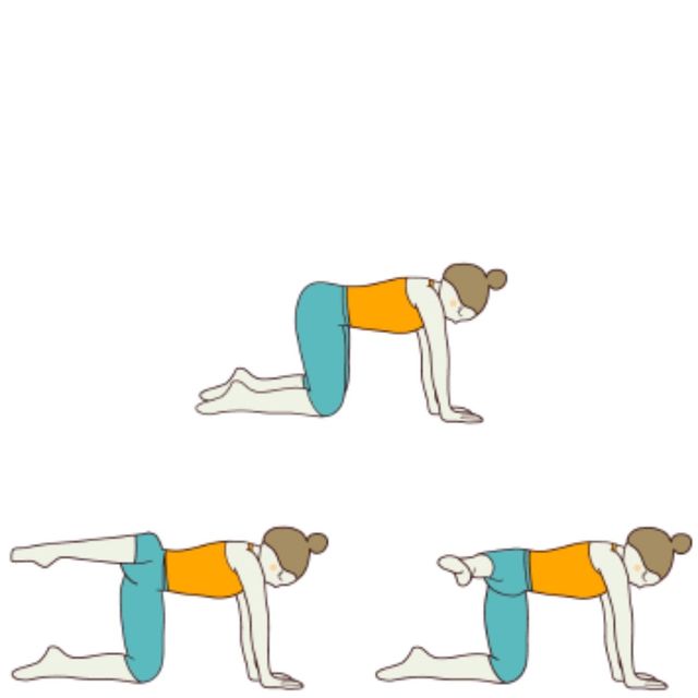 Table Top Leg Lift Flow Both Sides by 𝔻𝕖𝕤𝕖𝕣𝕥 𝔽𝕠𝕩🦊 🌟 Exercise Howto