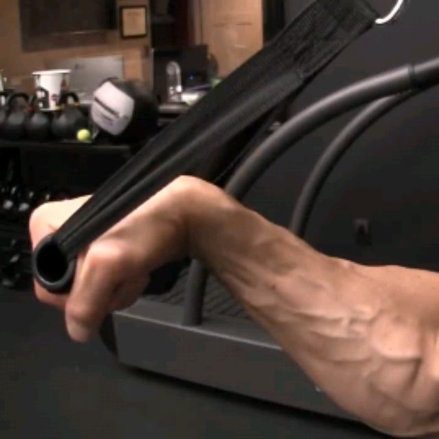 Prone Wrist Curls by Daniel S. Exercise Howto Skimble