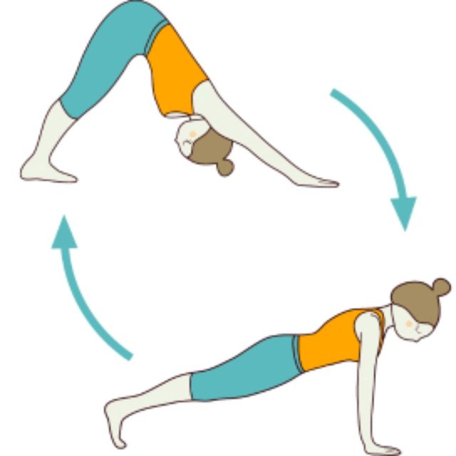 Downward Dog Plank Flow by 𝔻𝕖𝕤𝕖𝕣𝕥 𝔽𝕠𝕩🦊 🌟 Exercise Howto Skimble