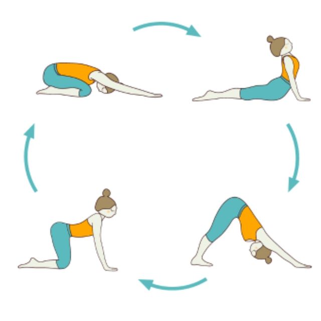 Shakti Flow by 𝔻𝕖𝕤𝕖𝕣𝕥 𝔽𝕠𝕩🦊 🌟 Exercise Howto Skimble