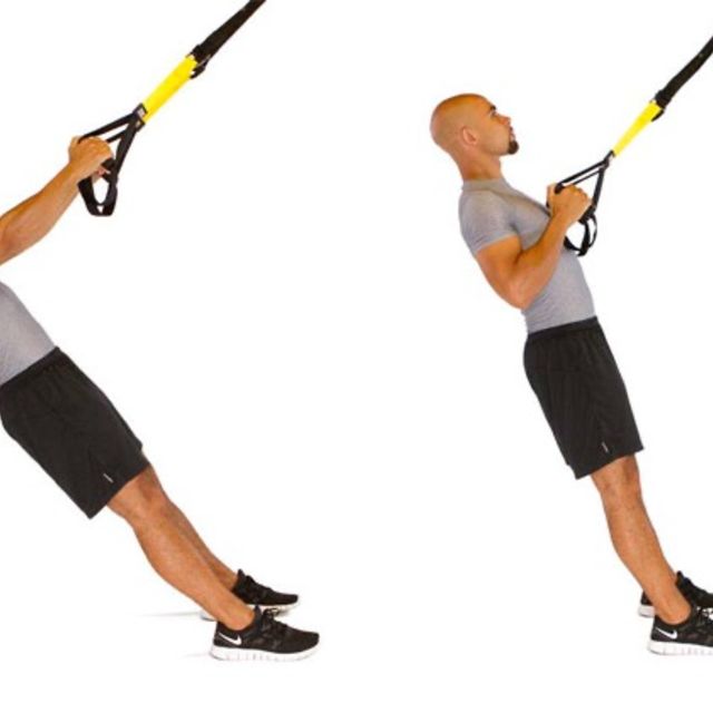 Trx Mid Row What Muscles Does TRX Row Work UADIG Trx Mid Row What Muscles Does TRX Row Work UADIG