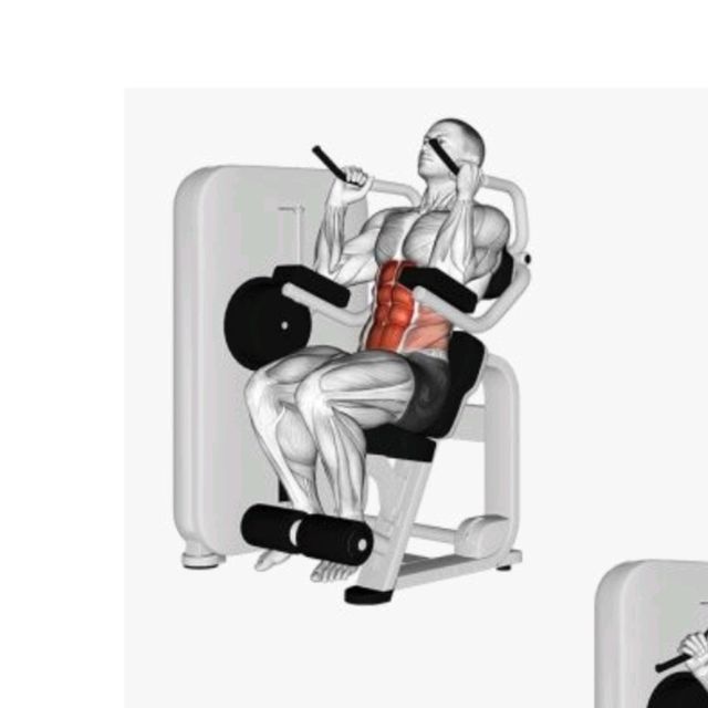 Abdominal Crunch Machine Exercise Howto Workout Trainer by Skimble