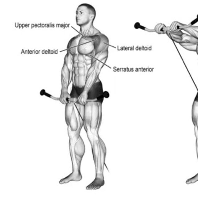 Cable Front Raise by Sérgio F. - Exercise How-to - Skimble
