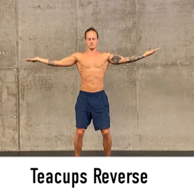 Teacups Reverse by Alex 🌊. Exercise Howto Skimble
