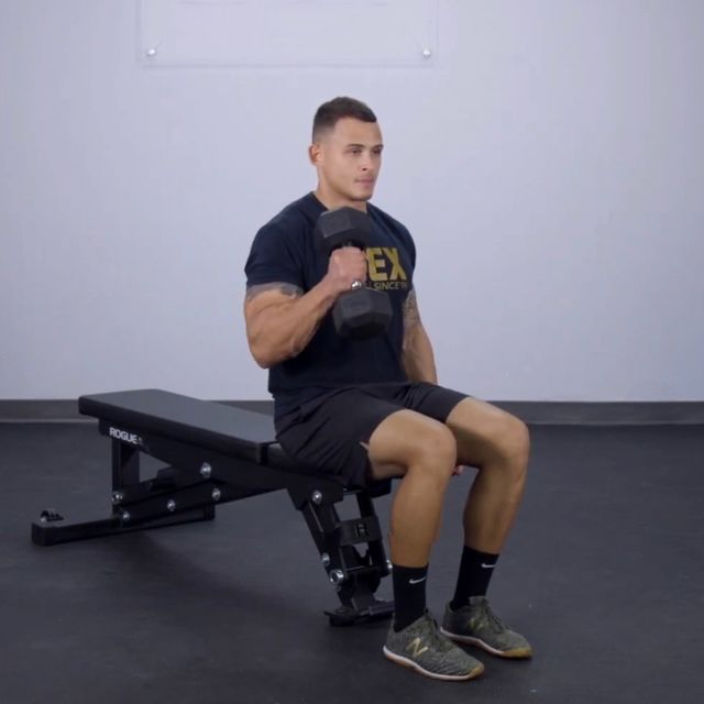 Seated One Arm Hammer Curl (R) by Ömer Köseoğlu Exercise Howto Skimble