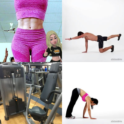 Core/Upper Body