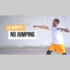 Low Impact No Jumping HIIT 19 mins.