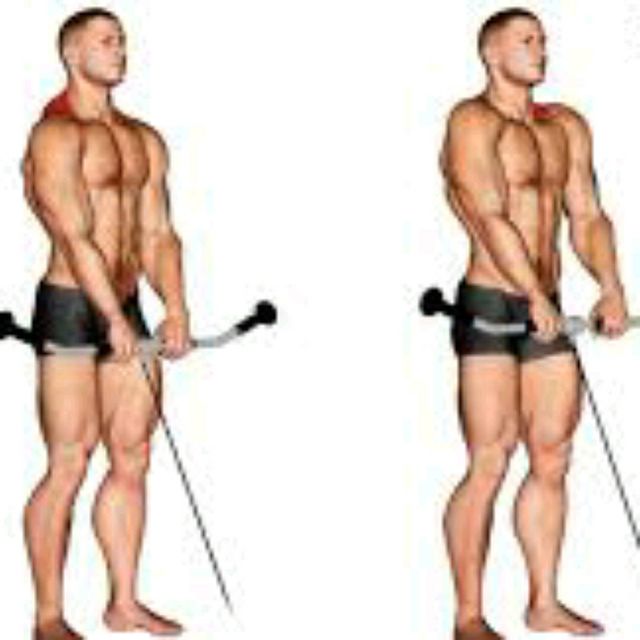 Cable Shrug by Uncle Heiko S Exercise Howto Skimble