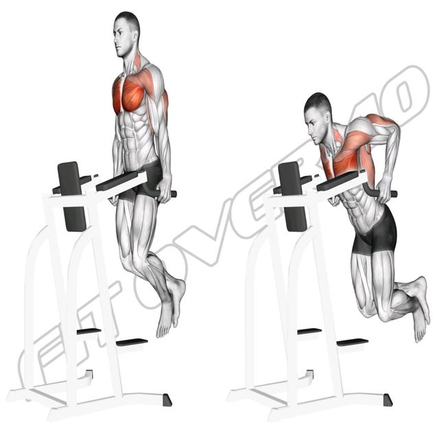 Dip Chest by Ftf40 Jan Exercise Howto Skimble