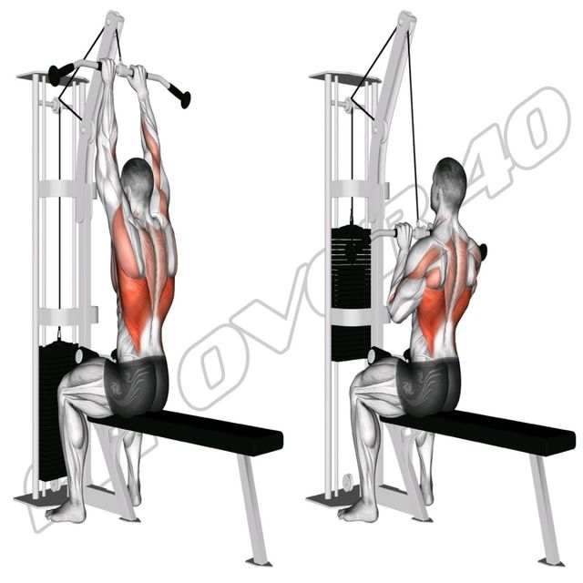 Cable Close Grip Pulldown by Ftf40 Jan Exercise Howto Skimble