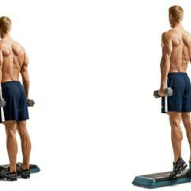 Calf Raises by Myint H. Exercise Howto Skimble