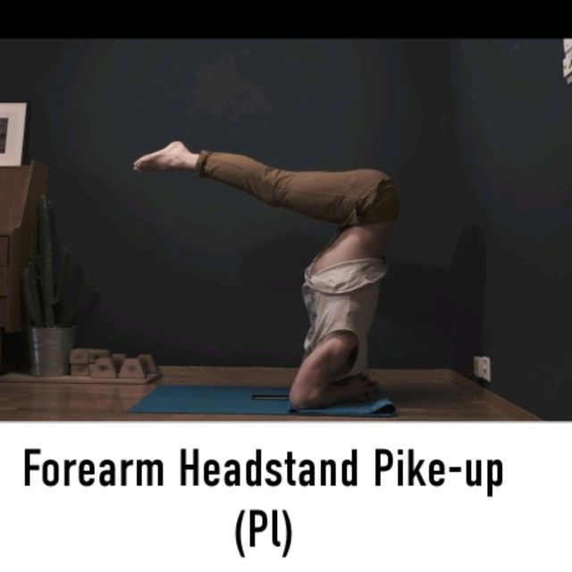 Forearm Headstand PikeUp by Alex 🌊. Exercise Howto Skimble