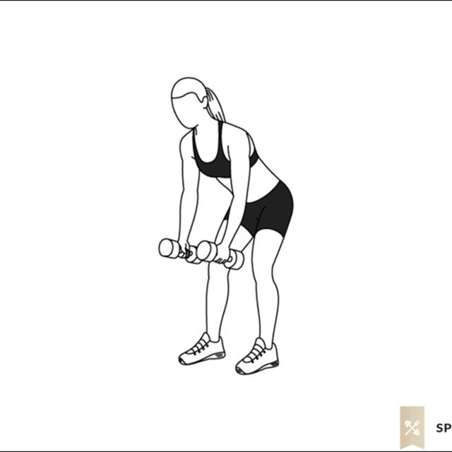 Dumbbell Bent Over Row by Samantha T. Exercise Howto Skimble