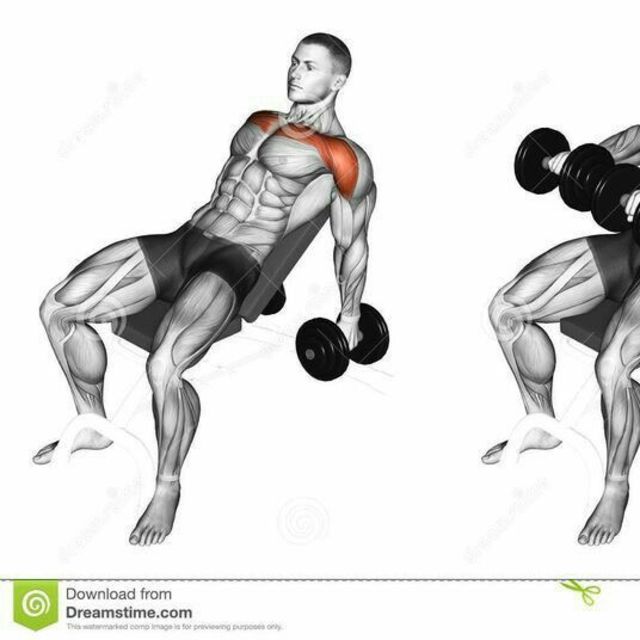 Front Raise Bench by Craig C. Exercise Howto Skimble