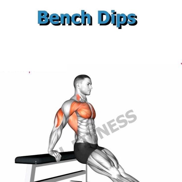 Bench Dips Reps by Craig C. Exercise Howto Skimble