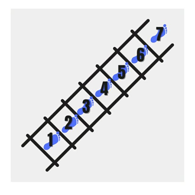 Forward Hop Plyometric Ladder Drill by Kimberly C Exercise Howto