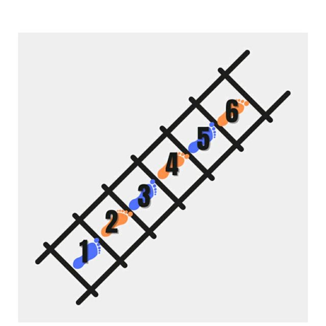 Single Foot Run Plyometric Ladder Drill by Kimberly C Exercise Howto