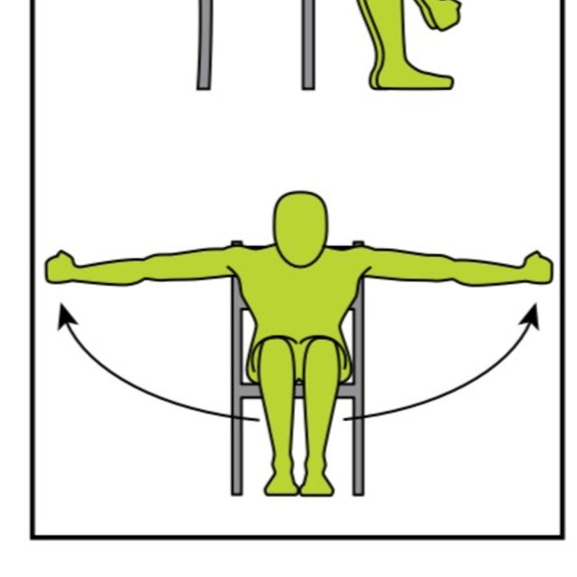 Seated Reverse Shoulder Fly by Meah Gill Exercise Howto Skimble