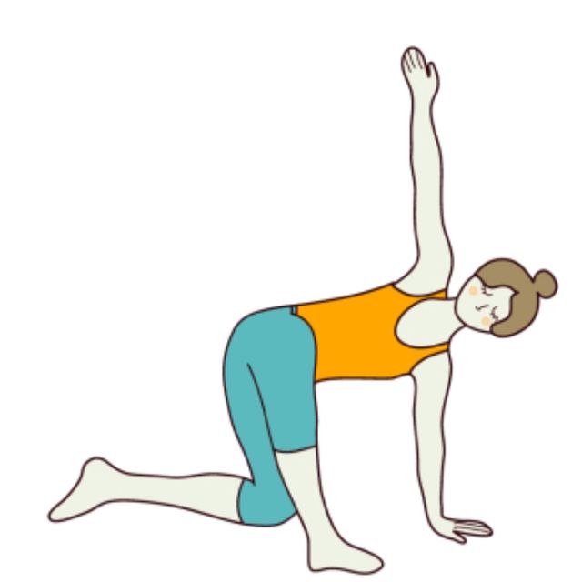 Table Top Stretch Both Sides by 𝔻𝕖𝕤𝕖𝕣𝕥 𝔽𝕠𝕩🦊 🌟 Exercise Howto Skimble