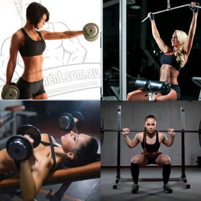 5 Day Split
