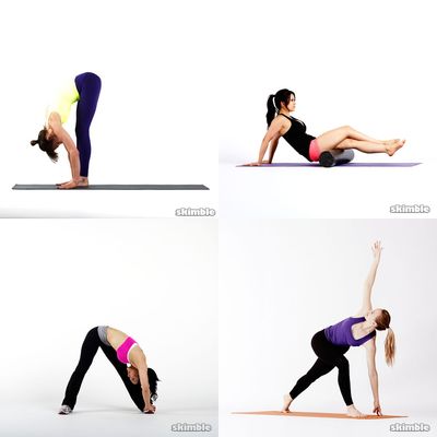 Flexi