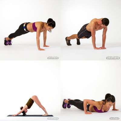 Upper Body
