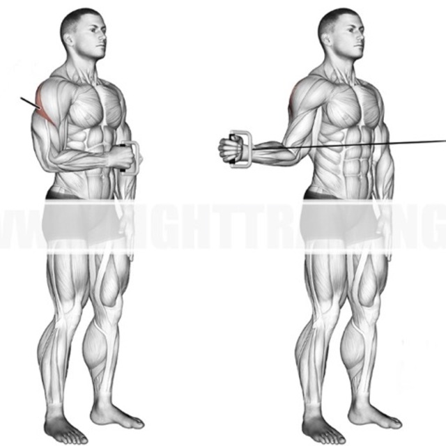 Cable Rotator Cuff Low (Right Side) by Elliott Konieczka Exercise Howto Skimble