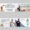 Lymphatics