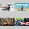 Flow Routines