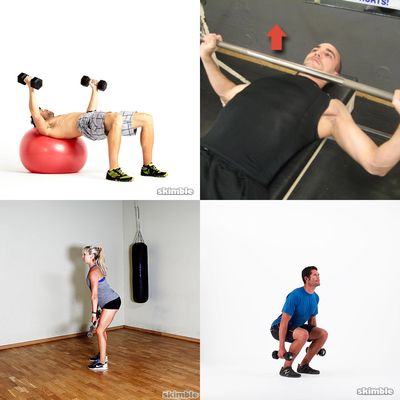 Wolverine Program