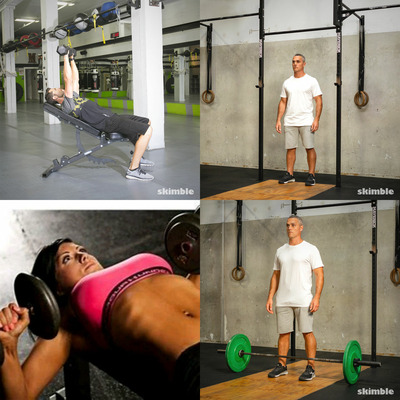 Upper Body