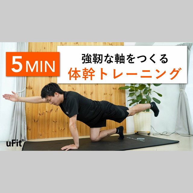 美品！体幹トレーニングTHRIVE ハートマークショップ】【THRIVE/スライヴ】 乗るだけで体幹