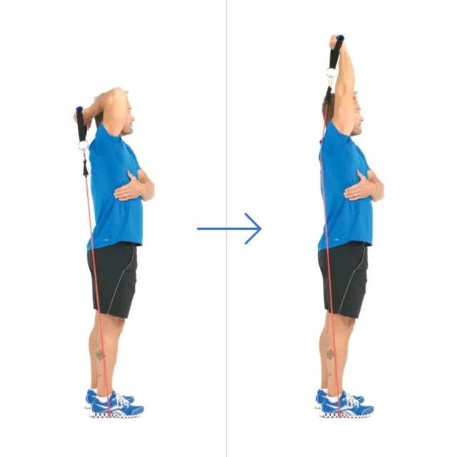 Band Overhead Tricep Ext por Dee B. - Ejercicio Cómo hacerlo - Skimble