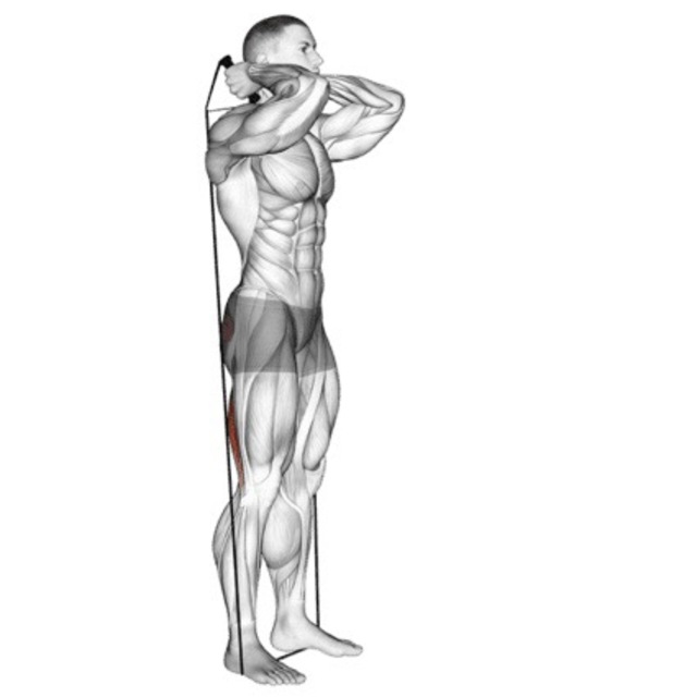 3232 Banded Good Mornings by Brian Fallon Exercise Howto Skimble