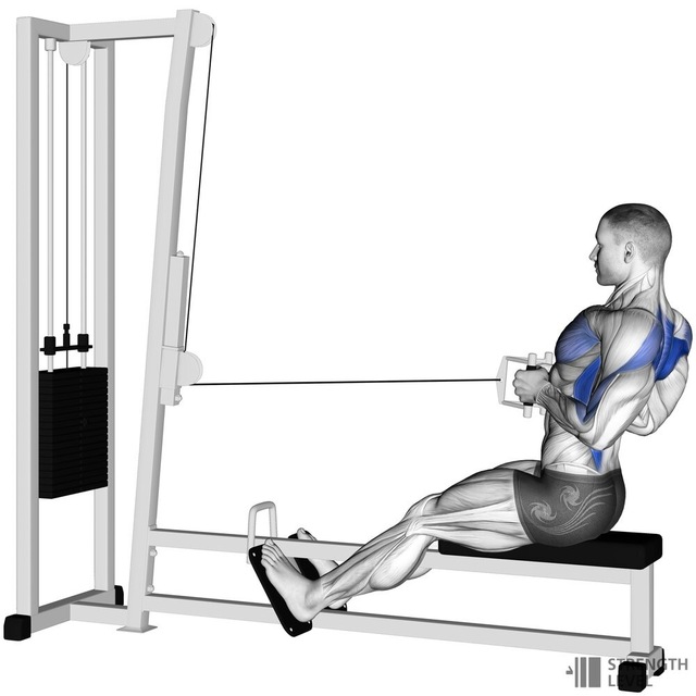 Cable Row by Joshua Lion - Exercise How-to - Skimble