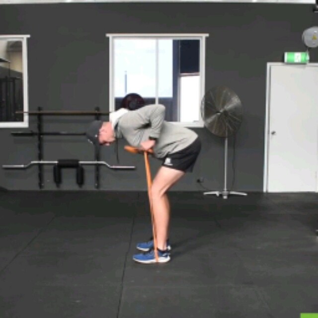 Flextable Banded Rows Banded Pendlay rows by Alex 🌊. - Exercise How-to - Skimble
