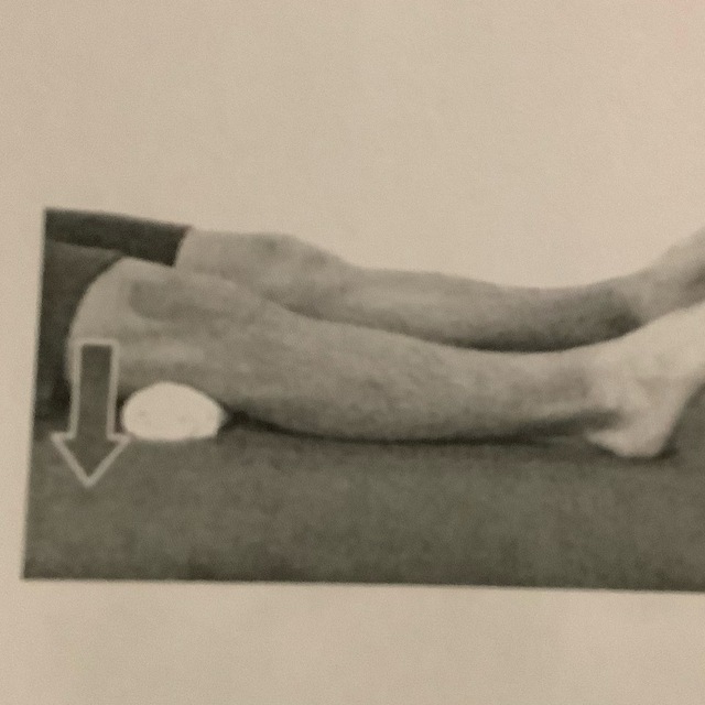 Right Quad Set Towel Under Knee by Julie S. Exercise Howto Skimble