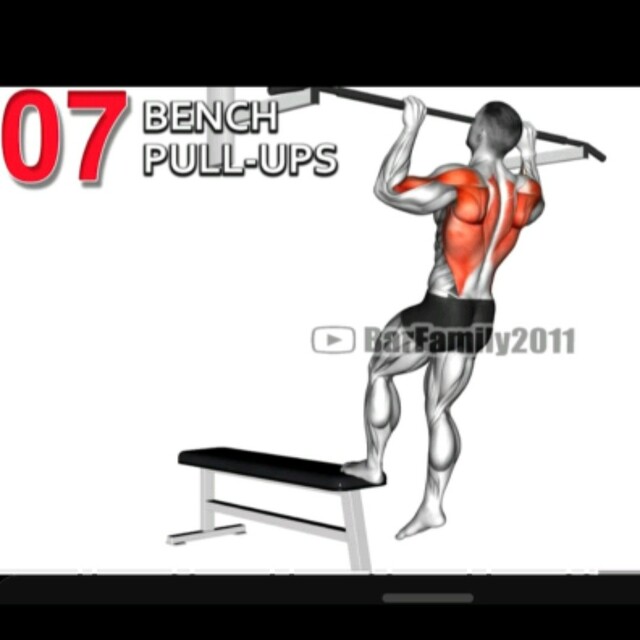 Bench Pull Ups by Isreal E. Exercise Howto Skimble