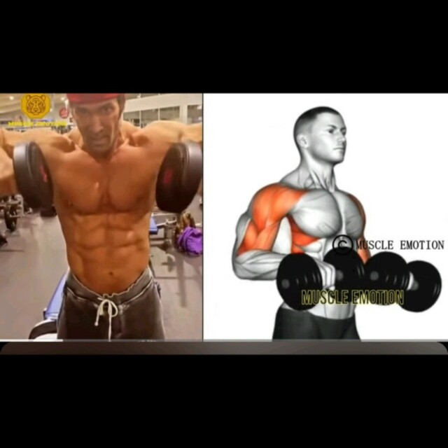 Inner Front Raises by Isreal E. - Exercise How-to - Skimble