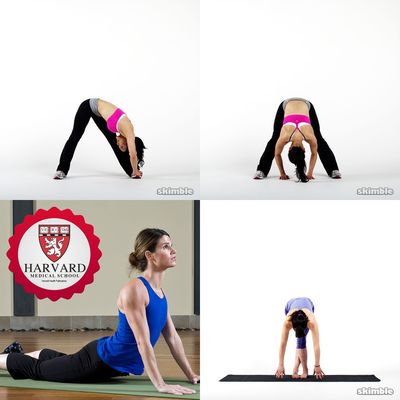 Stretch